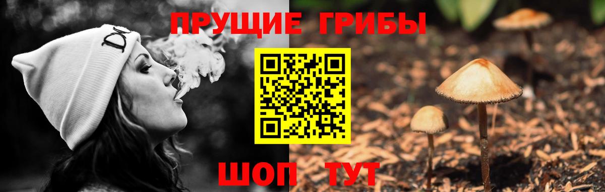 Лянтор  Псилоцибиновые грибы прущие грибы  Вход с VPN 